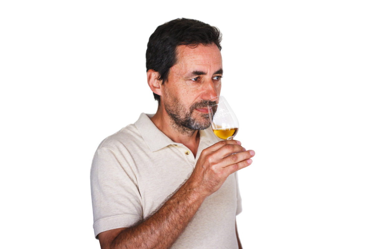 Degustácia medoviny