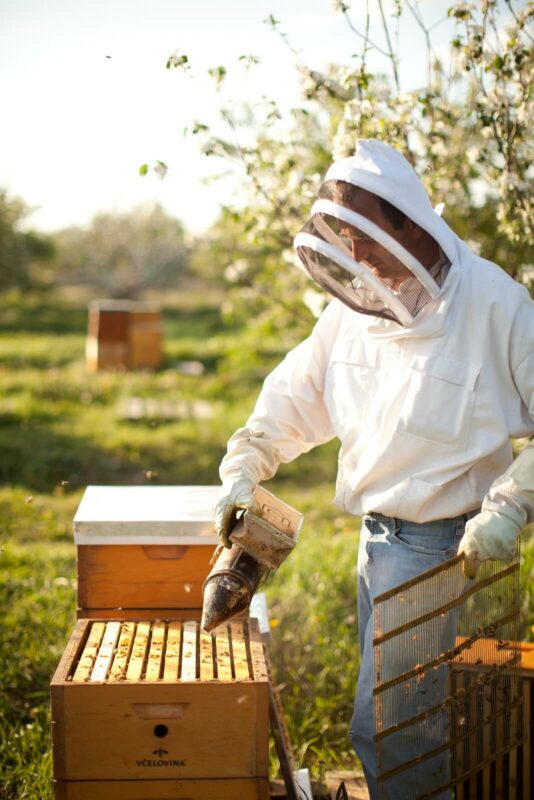 Aktuálne sa staráme o viac ako 100 včelstiev